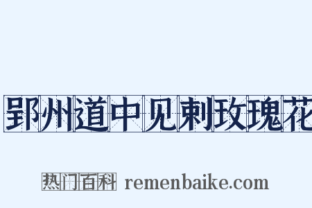 郢州道中见剌玫瑰花是什么意思的图片